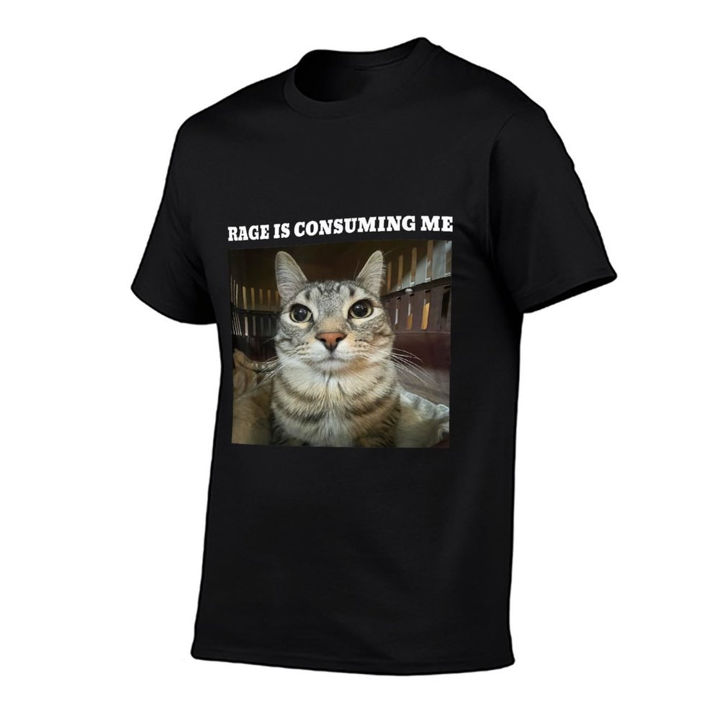 Rage Is Consuming Me Cat Meme Lightweight T-Shirt