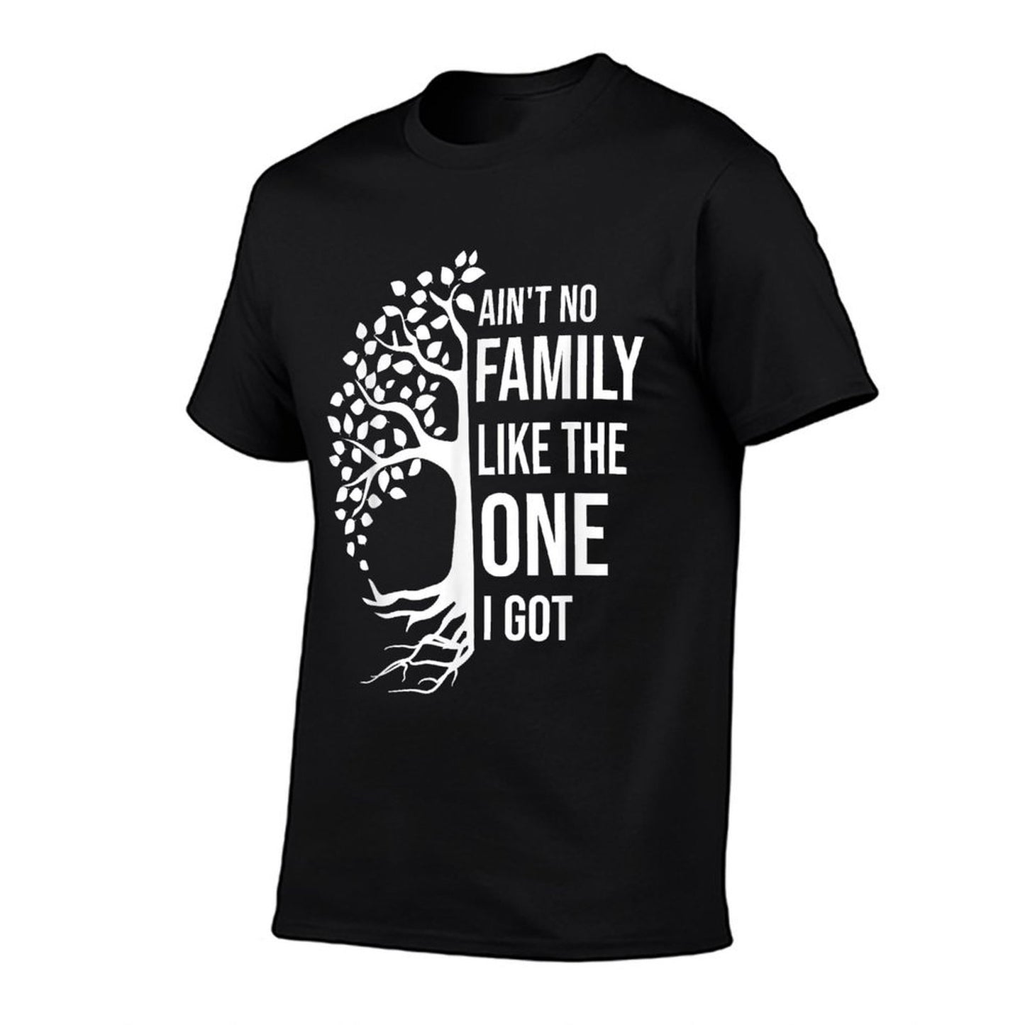 Ain't No Family Like The One I Got Funny Family Reunion 2025 Rolled Sleeves T-Shirt