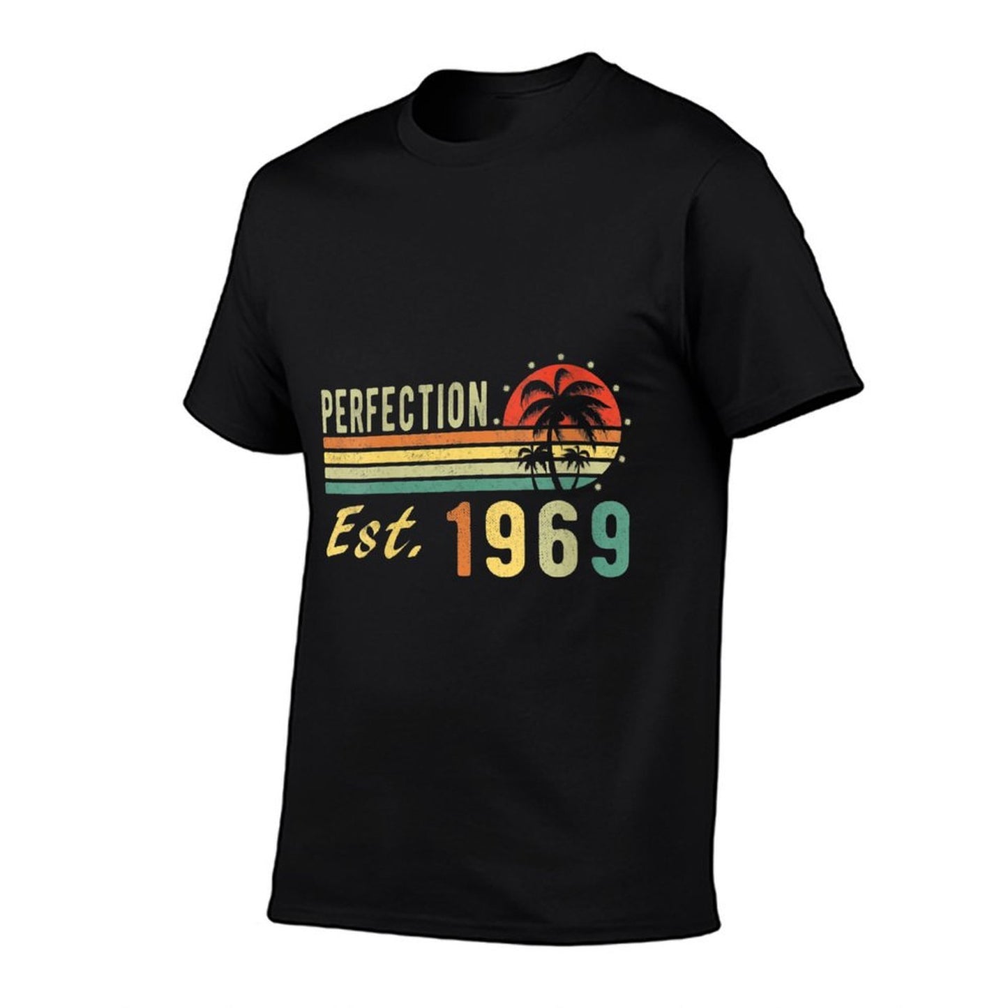 Womens Born In 1969, Perfection Est. 1969 Distressed Retro Birthday Graphic-printed T-Shirt