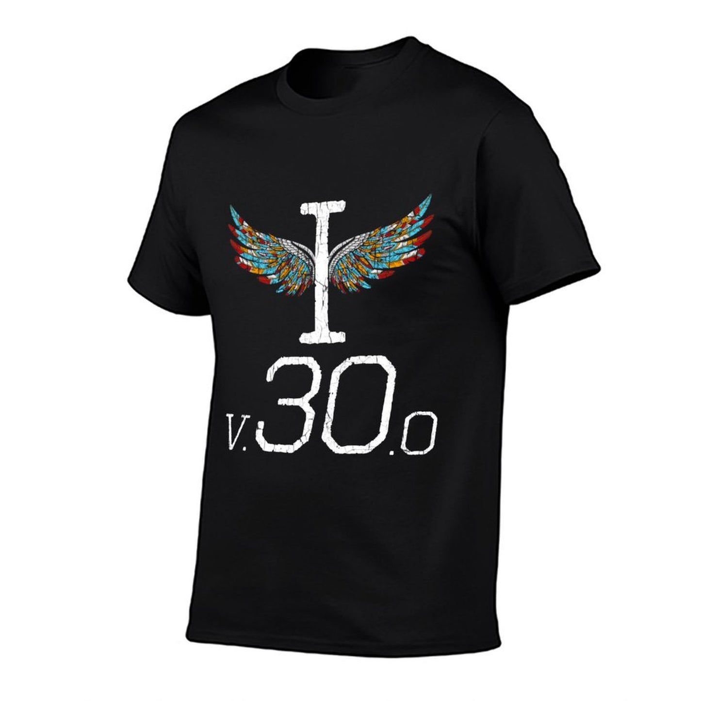 Funny 30th Birthday for Men Women Thirty I Version 30 Wrinkle-resistant T-Shirt