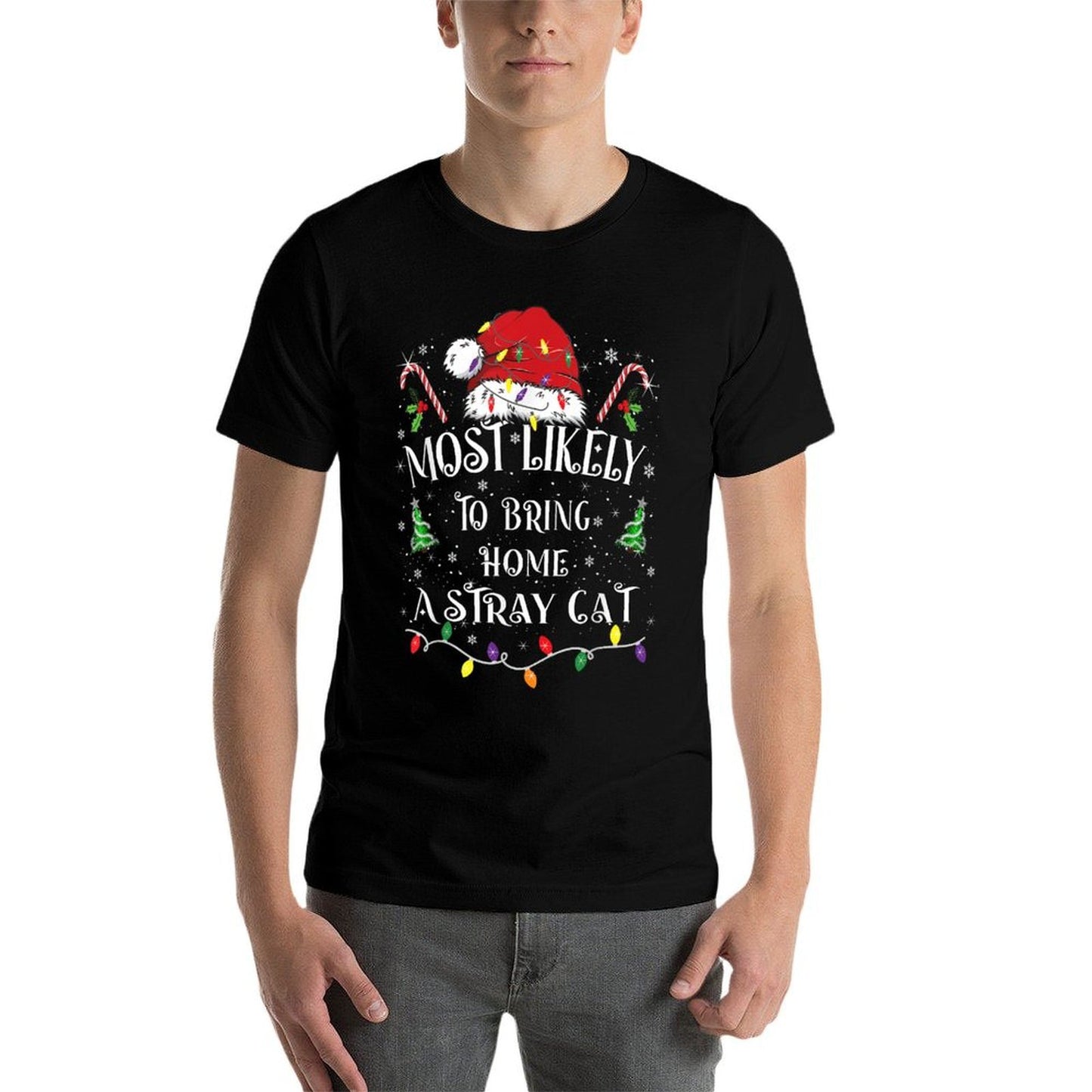 Most Likely To Bring Home A Stray Cat Funny Family Christmas Quick-drying T-Shirt