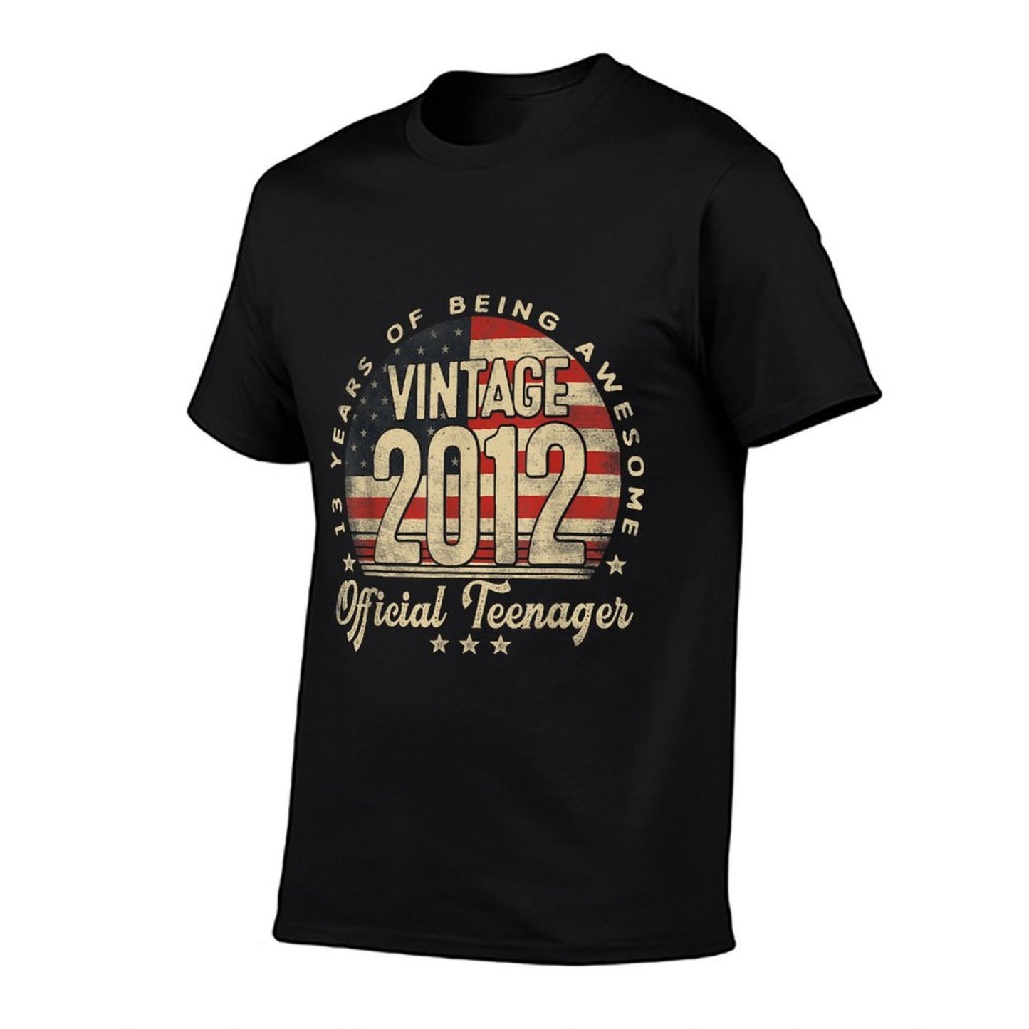 Vintage 2012 Officialnager 13-Year-Old Gifts USA Cotton T-Shirt