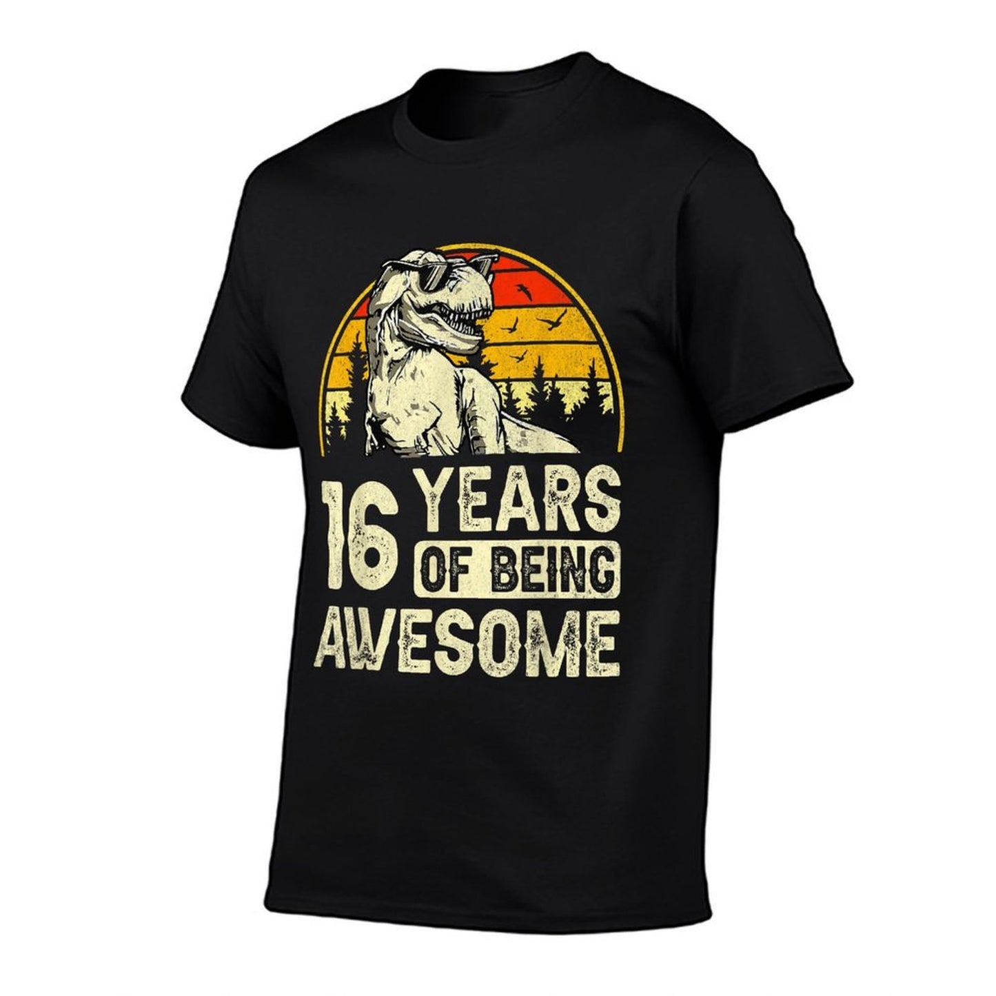 16th Birthday Boys 16yr 16 Year Old Dinosaur T-Rex Heathered Texture T-Shirt