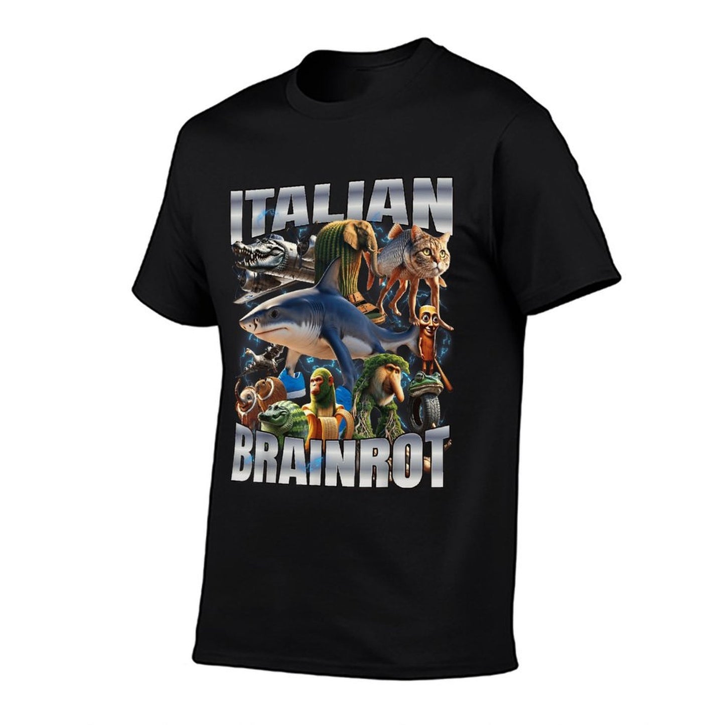 Italian Brainrot Affordable Price T-Shirt