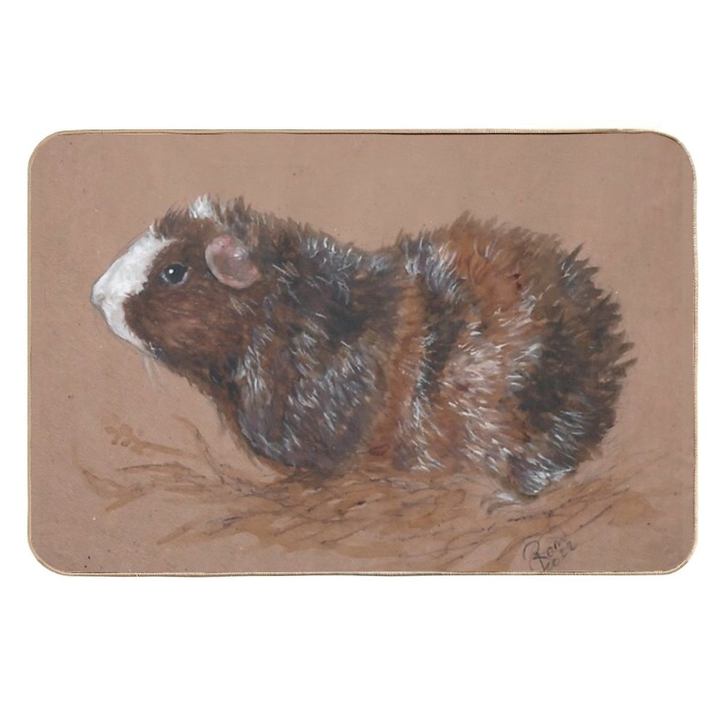 Roan Guinea Pig Durable Bath Mat