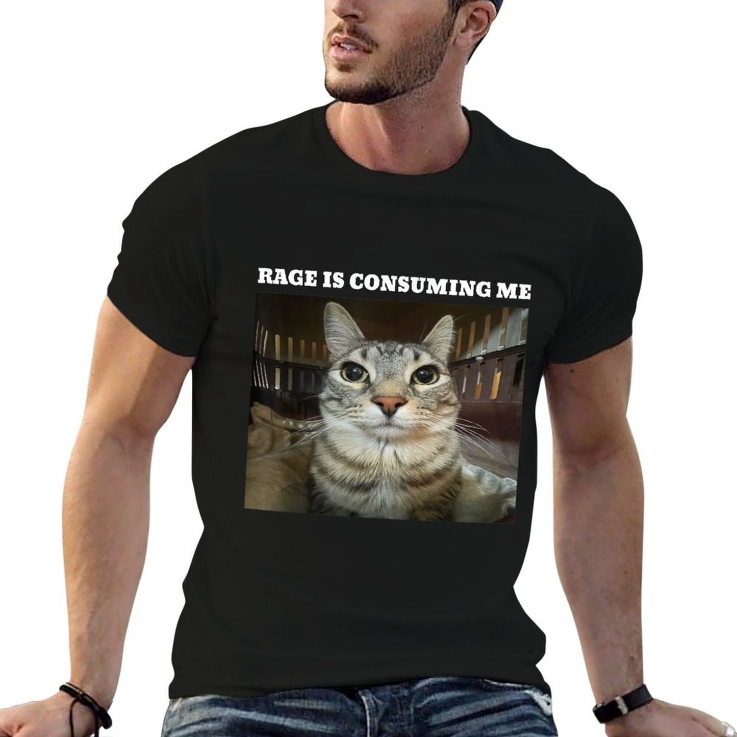Rage Is Consuming Me Cat Meme Lightweight T-Shirt