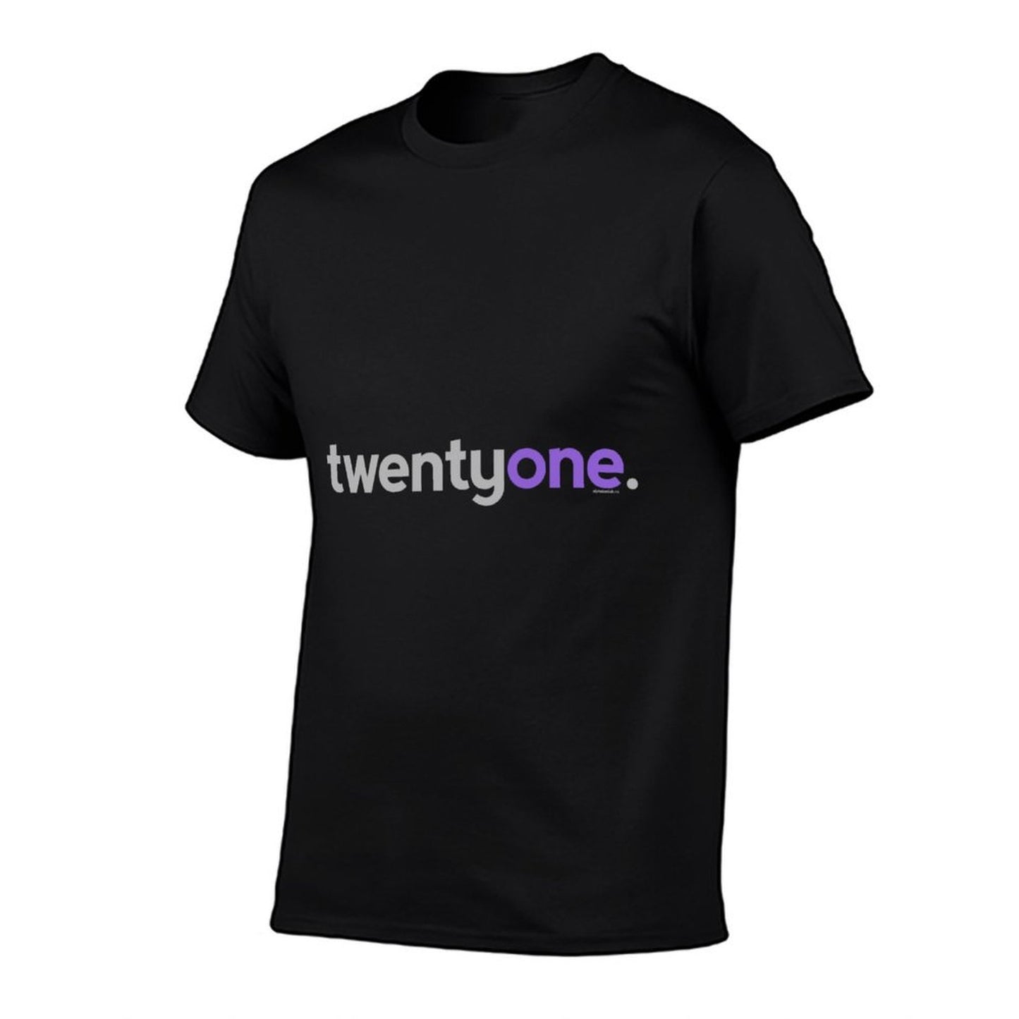 21st Birthday Gift Ideas for Her Women Twentyone Warm Durable T-Shirt