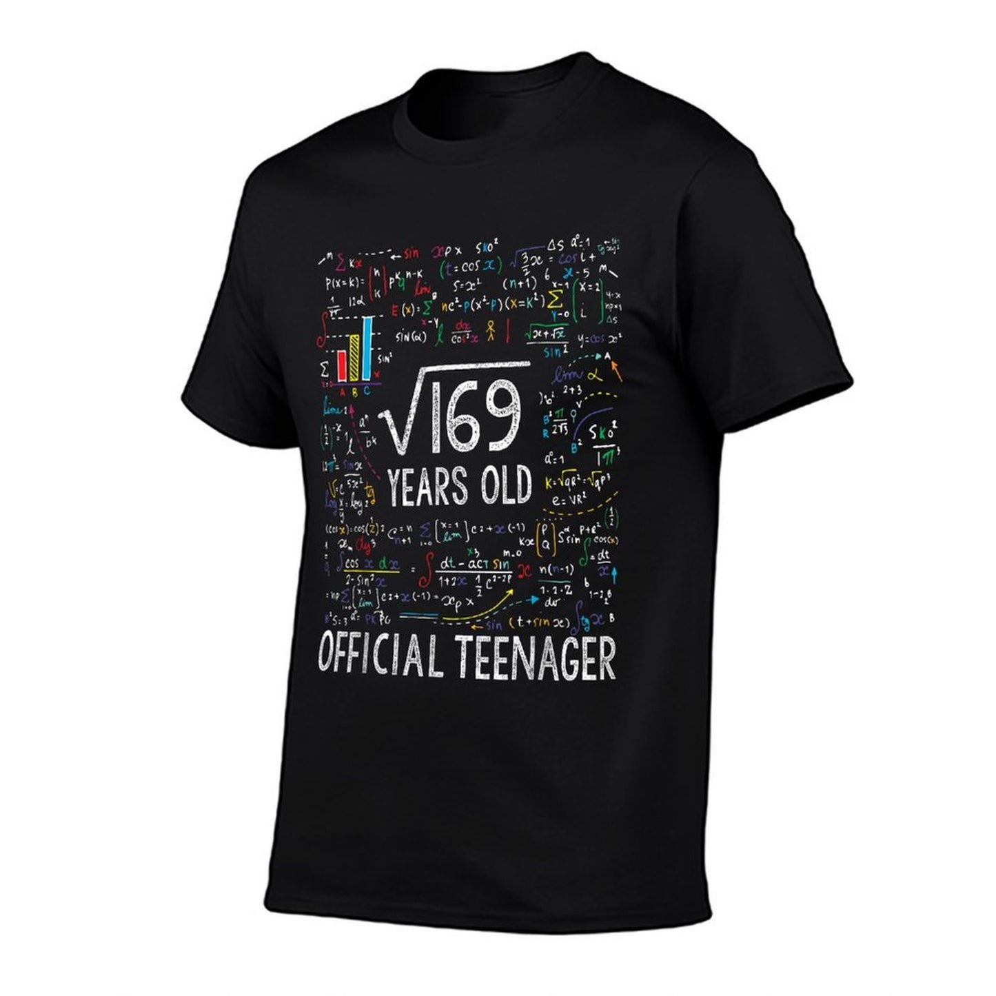 Square Root Of 169 13 Years Old Officialnager Birthday Rolled Sleeves T-Shirt