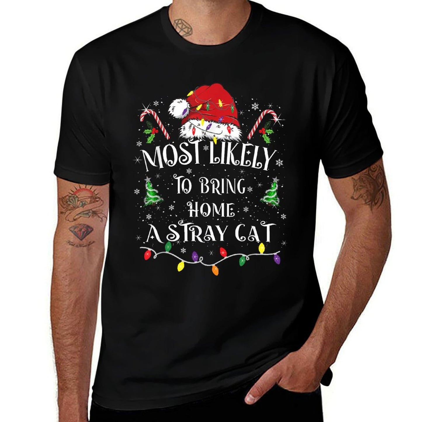 Most Likely To Bring Home A Stray Cat Funny Family Christmas Quick-drying T-Shirt