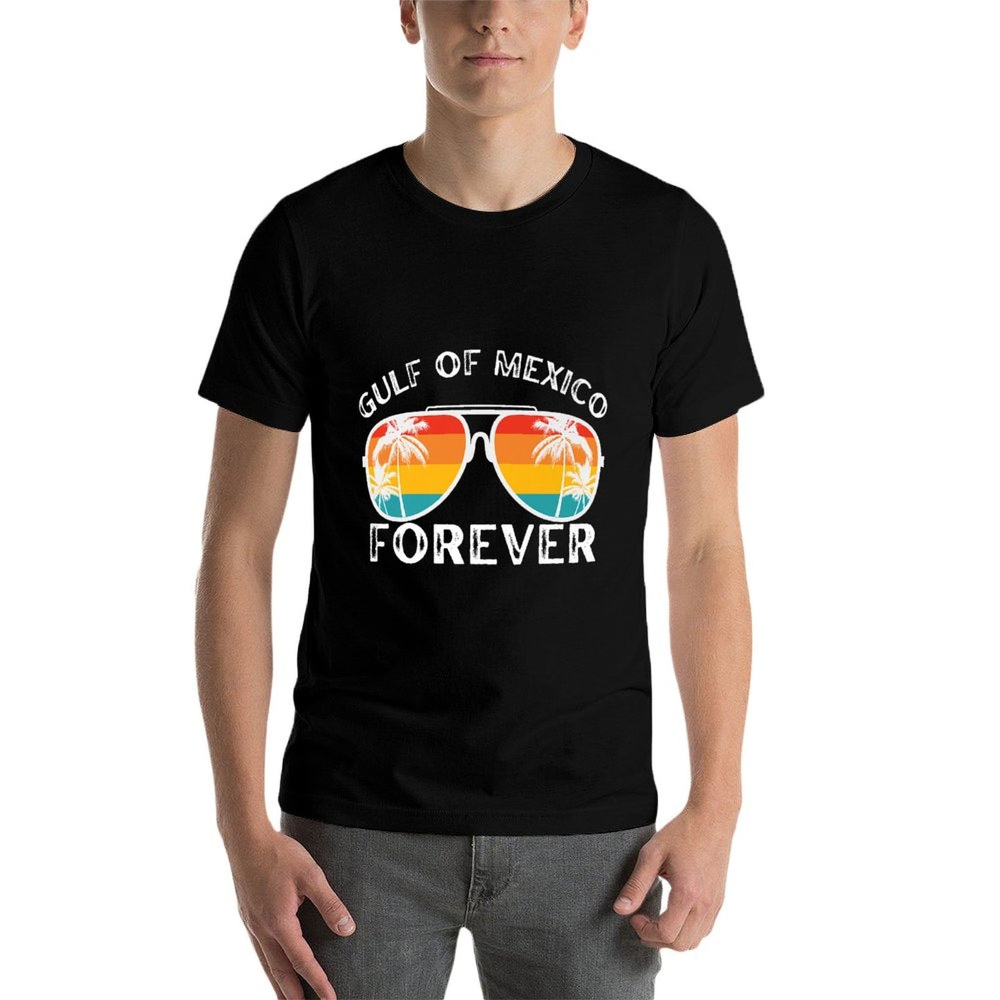 Gulf of USA America Gulf Of Mexico Retro Throwback Design Premium Soft T-Shirt