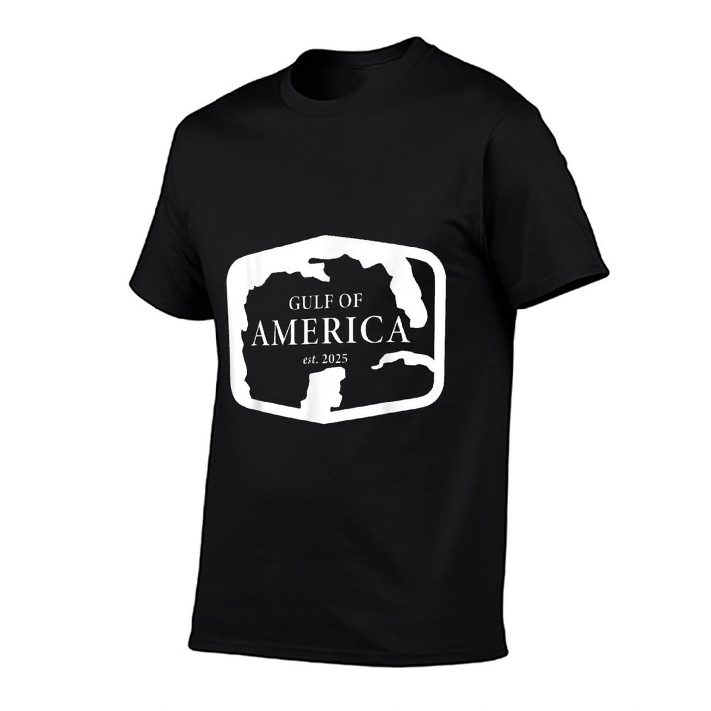 Gulf of 'Merica USA America Funny USA Flag Easy-care T-Shirt