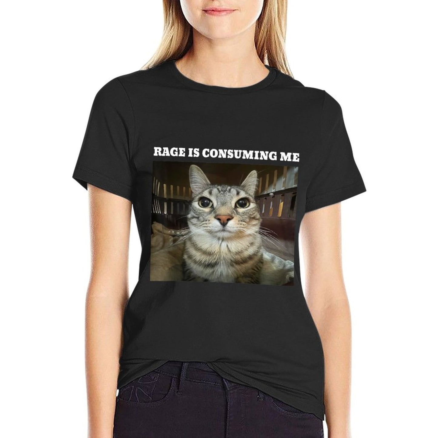 Rage Is Consuming Me Cat Meme Lightweight T-Shirt