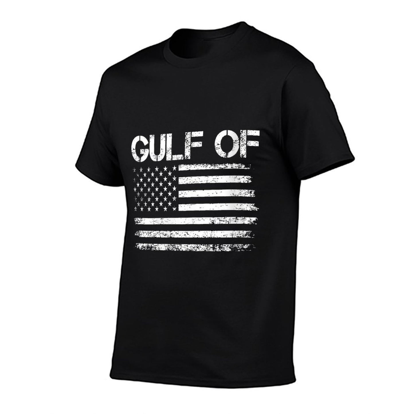 Womens Gulf of United States of America Funny Land Politics Quote Heathered Texture T-Shirt