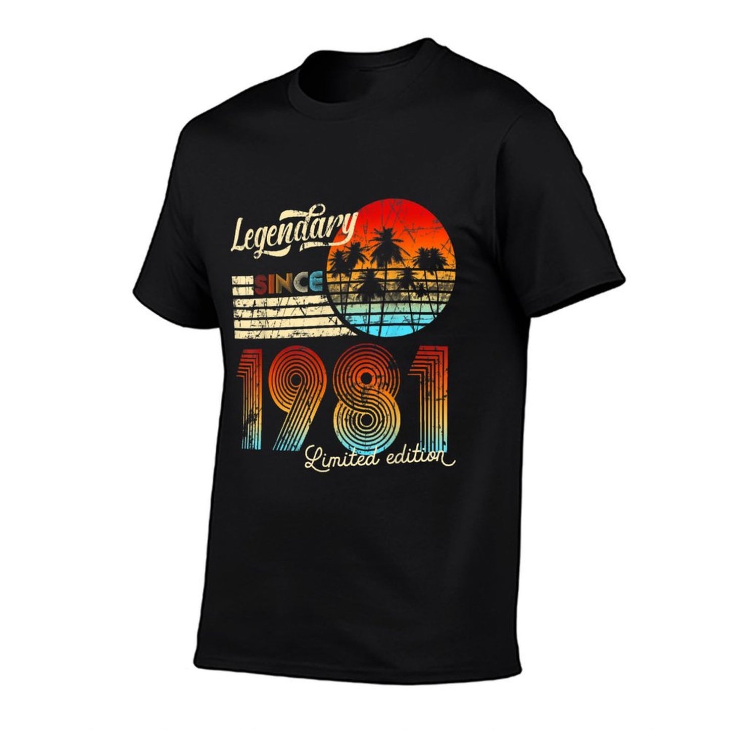 40Thbirthdaygifts Vintage Since 1981 40Th Birthday Heathered Texture T-Shirt
