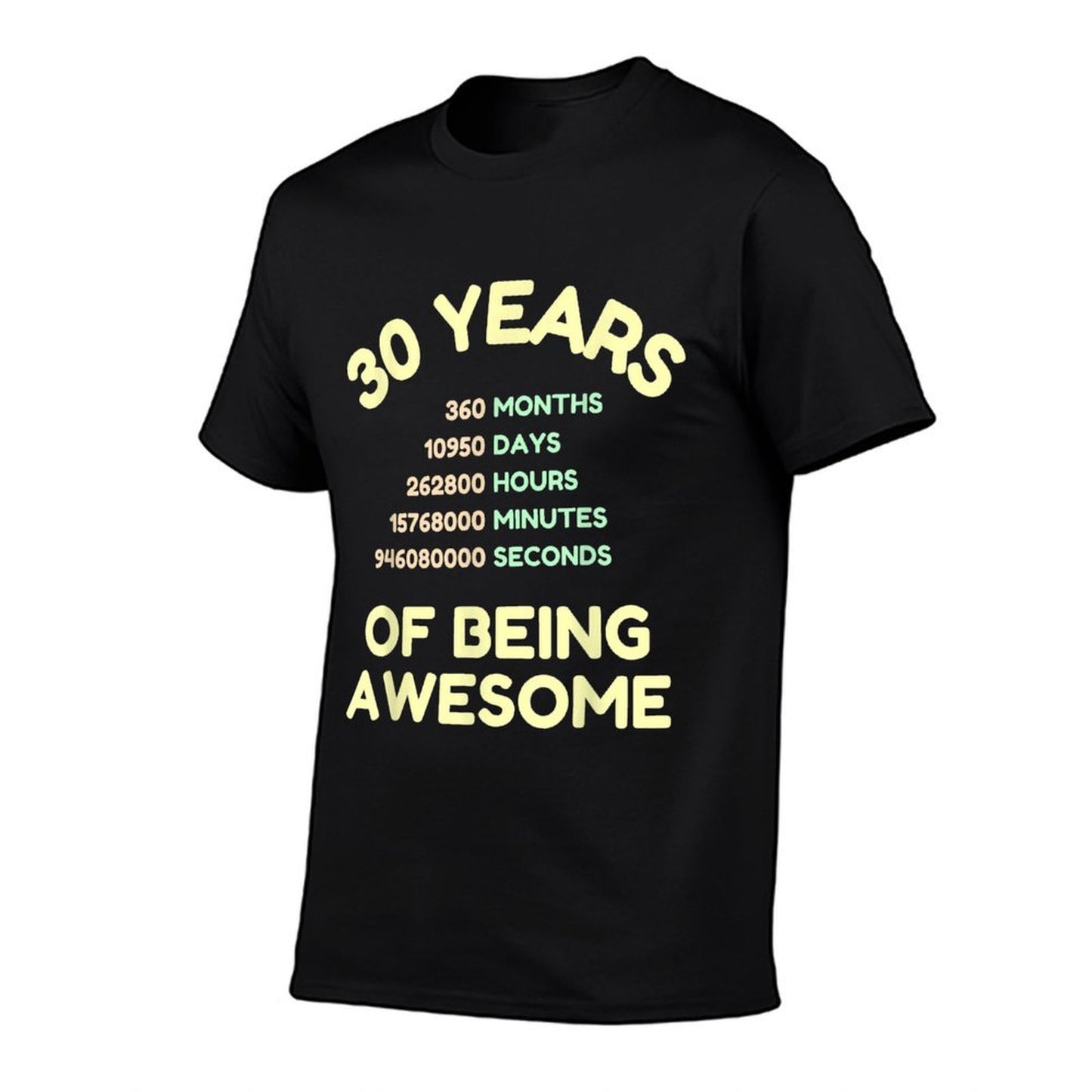 Funny Awesome 30th Birthday Affordable Price T-Shirt