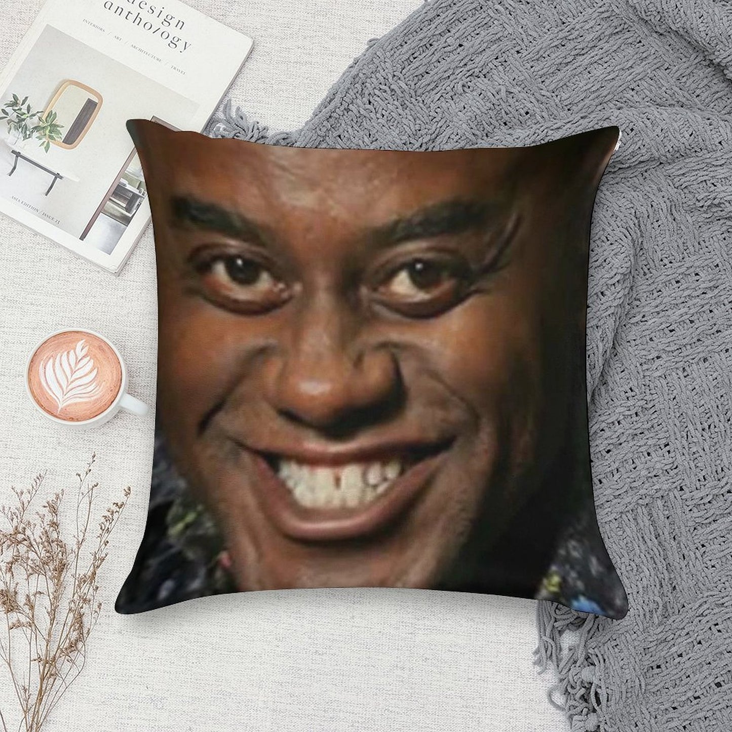 Ainsley Harriott Soft Home Decor Throw Pillow