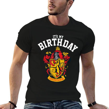 Harry Potter Gryffindor Birthday  Heathered Texture T-Shirt