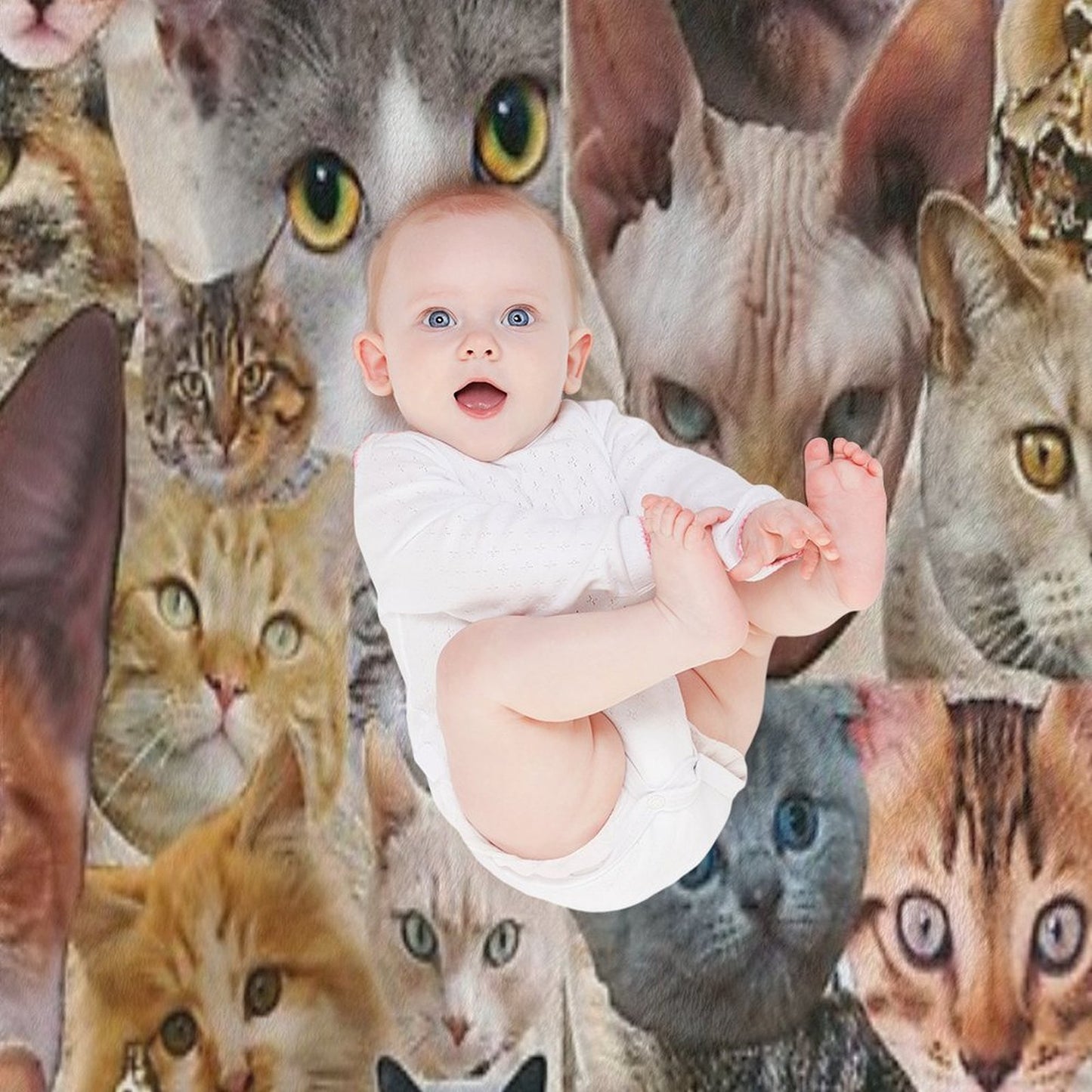 Cat Collage Comfort Throw Blanket