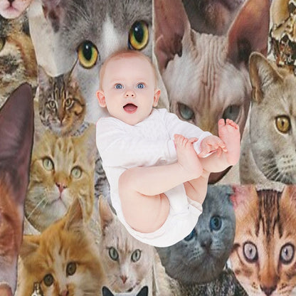 Cat Collage Comfort Throw Blanket