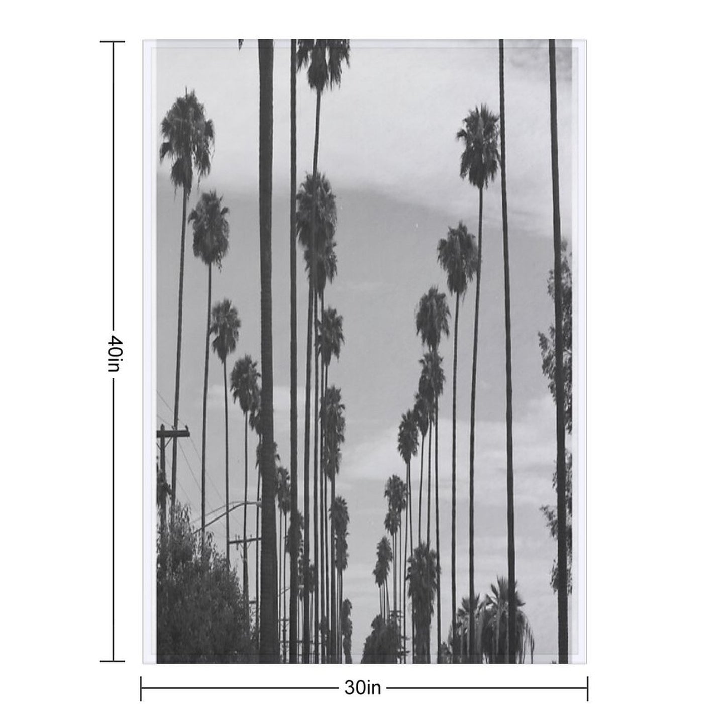 Vintage Black & White California Palm Trees Photo Durable Throw Blanket