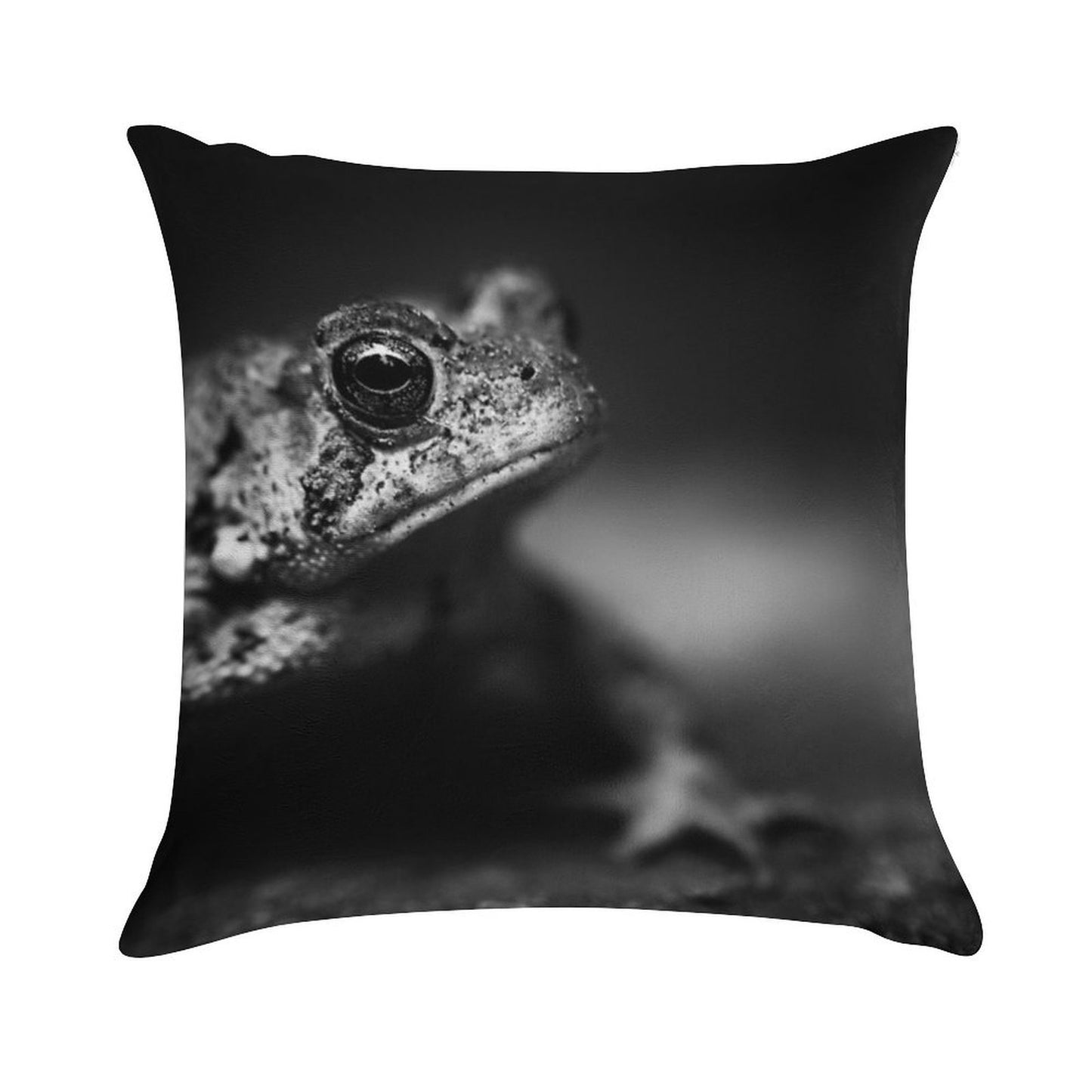 Eyes Betray The Soul And Bare Its Thinking Soft Anti-Pilling Throw Pillow