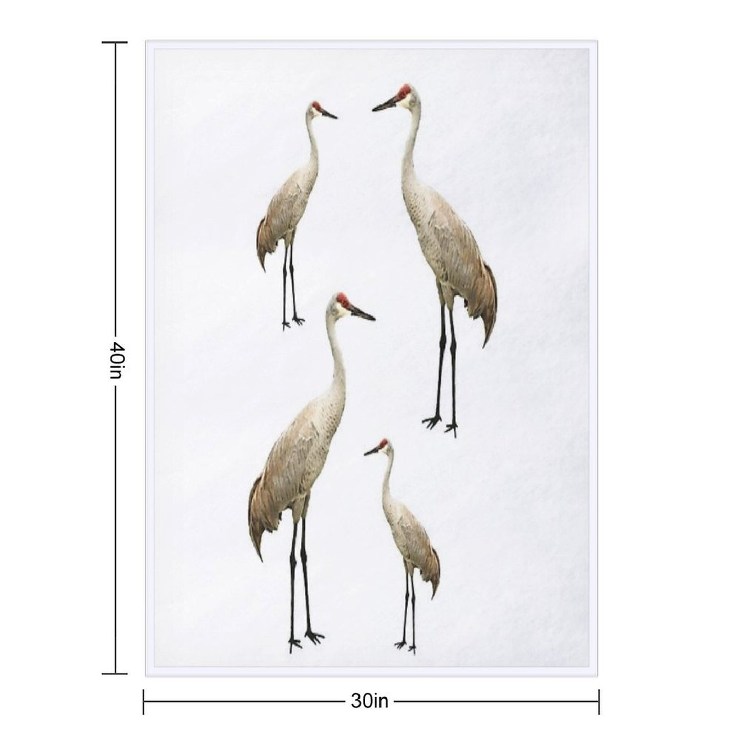 Vista View Sandhill Cranes on White Wrinkle-free Throw Blanket