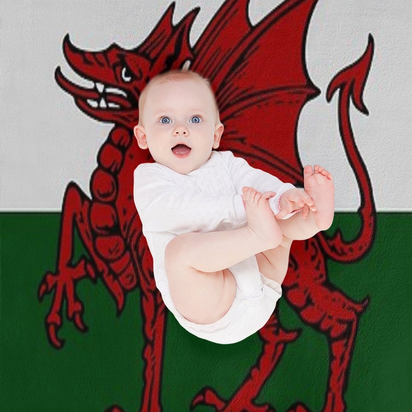 Welsh Dragon Sustainable Throw Blanket
