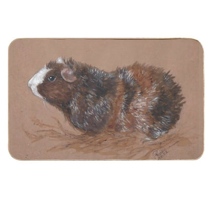Roan Guinea Pig Durable Bath Mat