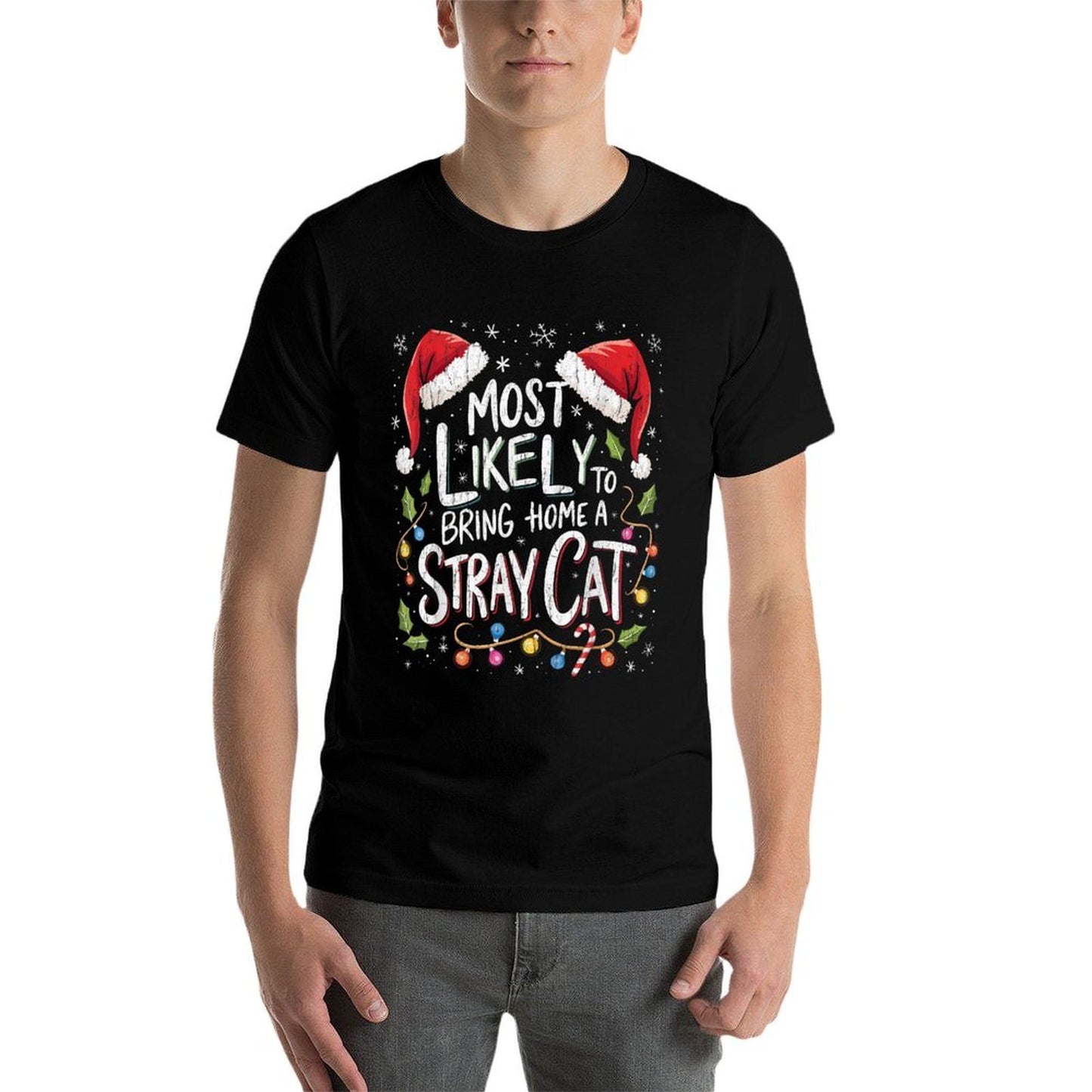 Most Likely To Bring Home A Stray Cat Holiday  Quick-drying T-Shirt