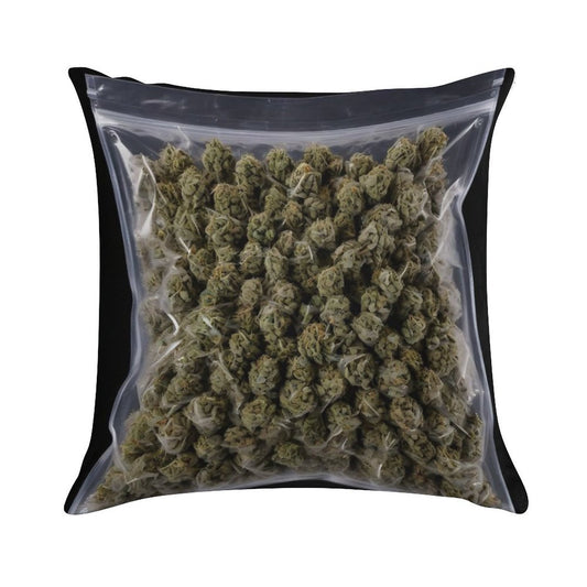 Novelty Pillow Soft Style Accent Throw Pillow