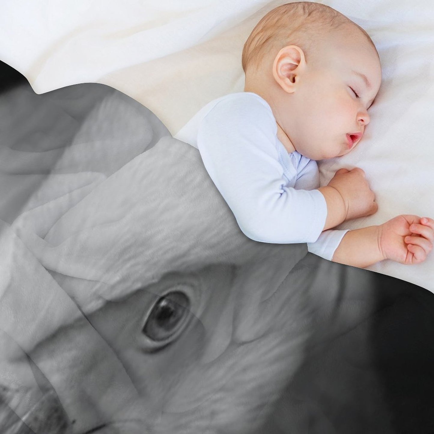 Pelican Portrait in Black And White – Wildlife Fine Art Photography Premium Throw Blanket