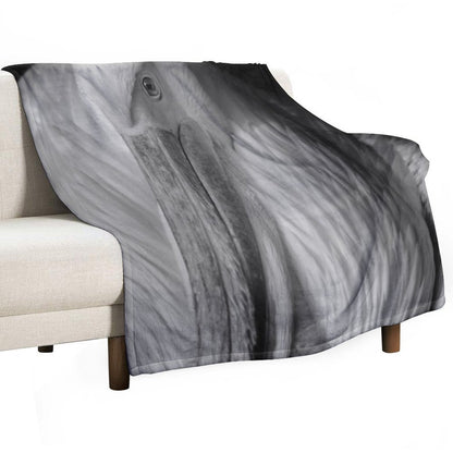 Pelican Portrait in Black And White – Wildlife Fine Art Photography Premium Throw Blanket