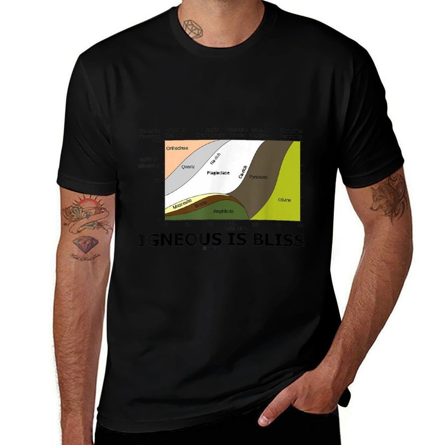 Igneous Is Bliss Geology Rock Geek Humor  Tagless Design T-Shirt