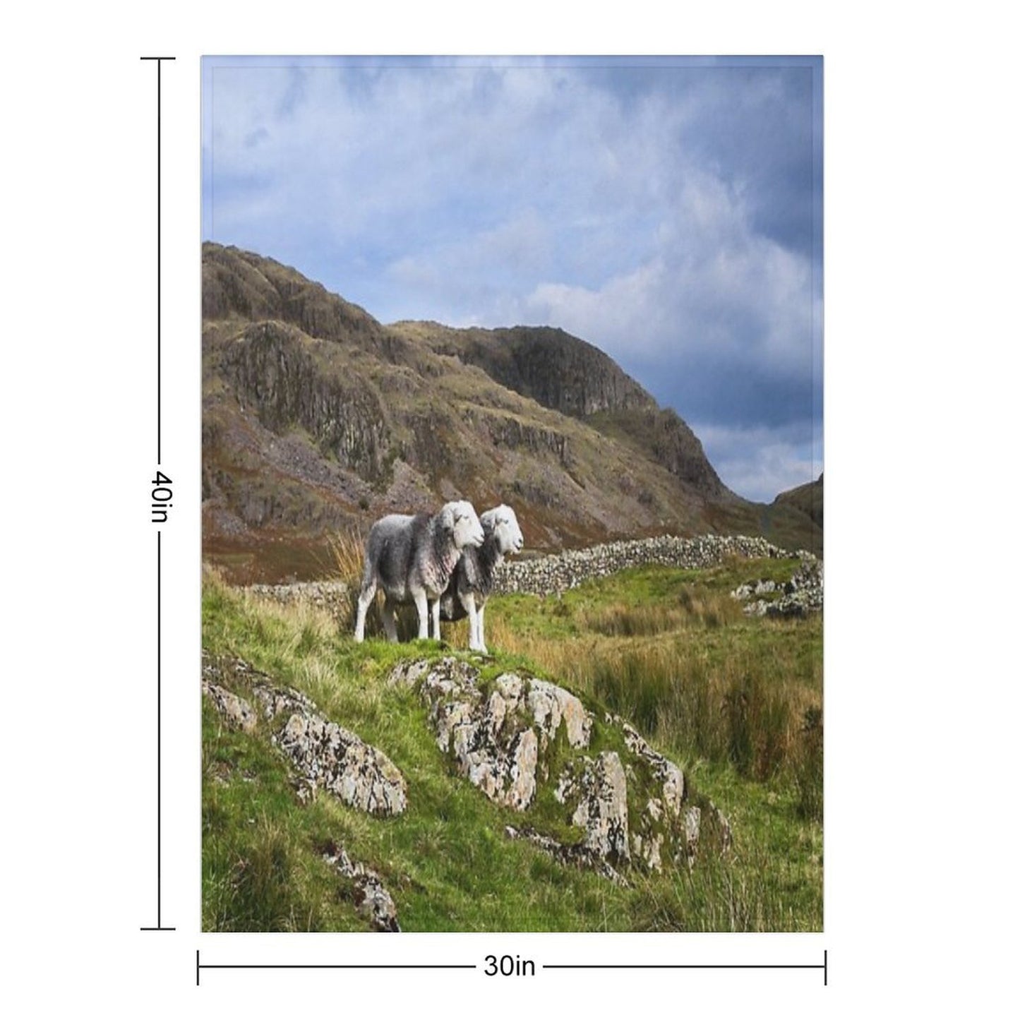 Herdwick Sheep in The Lake District Sustainable Throw Blanket