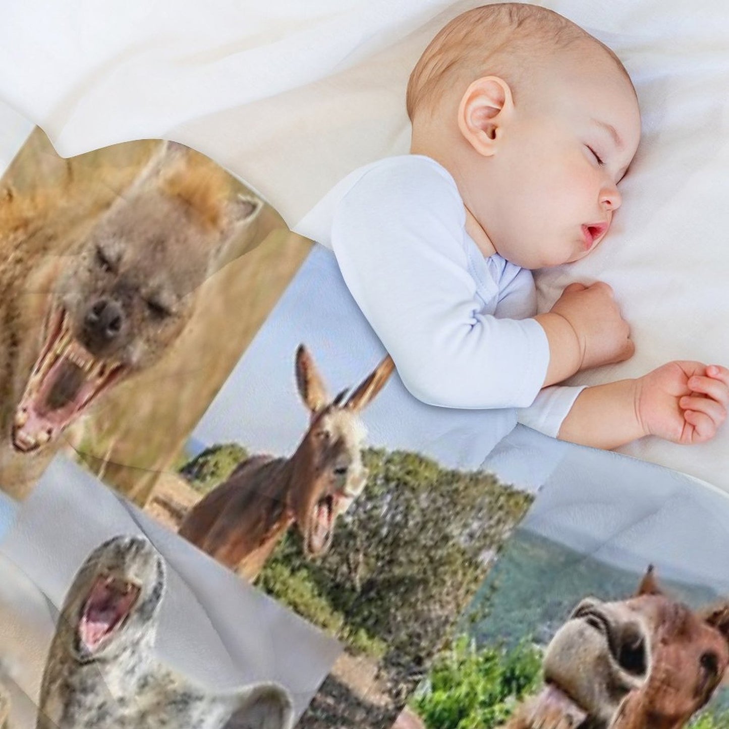 Just Laugh (animals) Wrinkle-free Throw Blanket