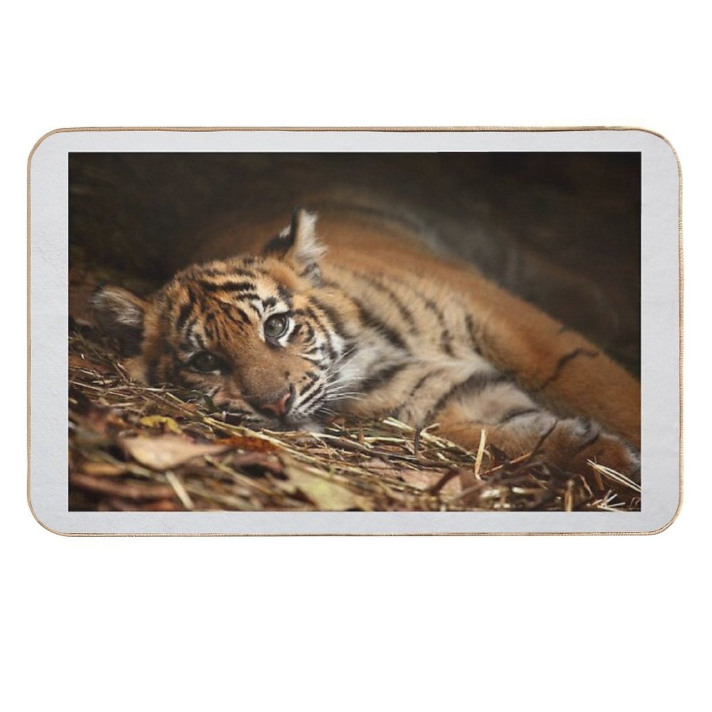Baby Tiger - Model  Repositionable Bath Mat