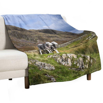 Herdwick Sheep in The Lake District Sustainable Throw Blanket