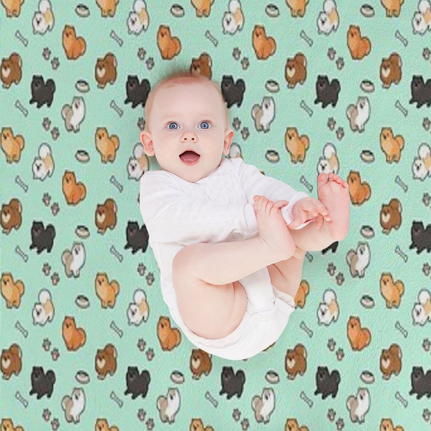 Cute Pomeranians Premium Throw Blanket