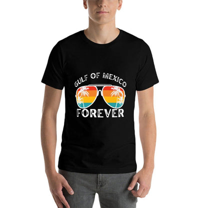 Gulf of USA America Gulf Of Mexico Retro Throwback Design Premium Soft T-Shirt