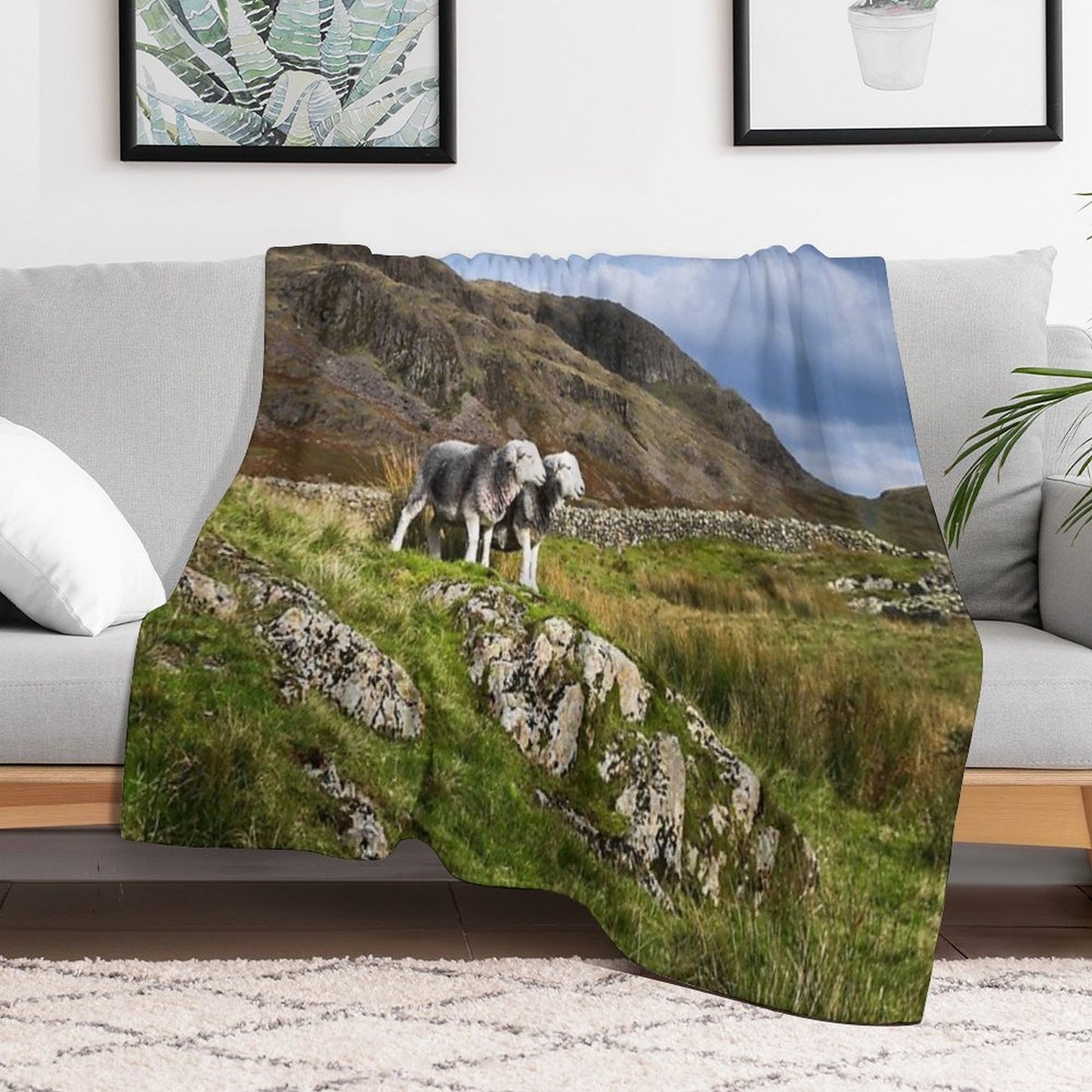 Herdwick Sheep in The Lake District Sustainable Throw Blanket