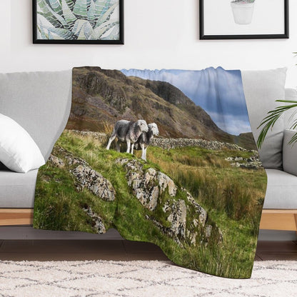 Herdwick Sheep in The Lake District Sustainable Throw Blanket