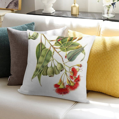 Corymbia Ficifolia - Red Flowering Gum Soft Multiple Sizes Throw Pillow