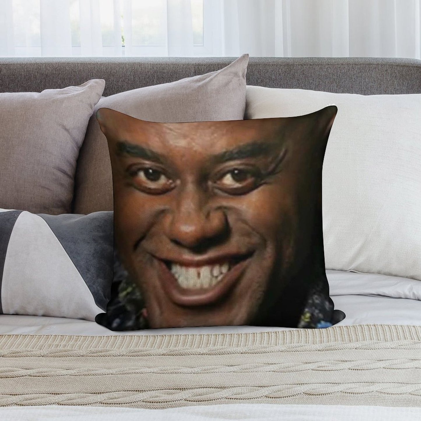 Ainsley Harriott Soft Home Decor Throw Pillow