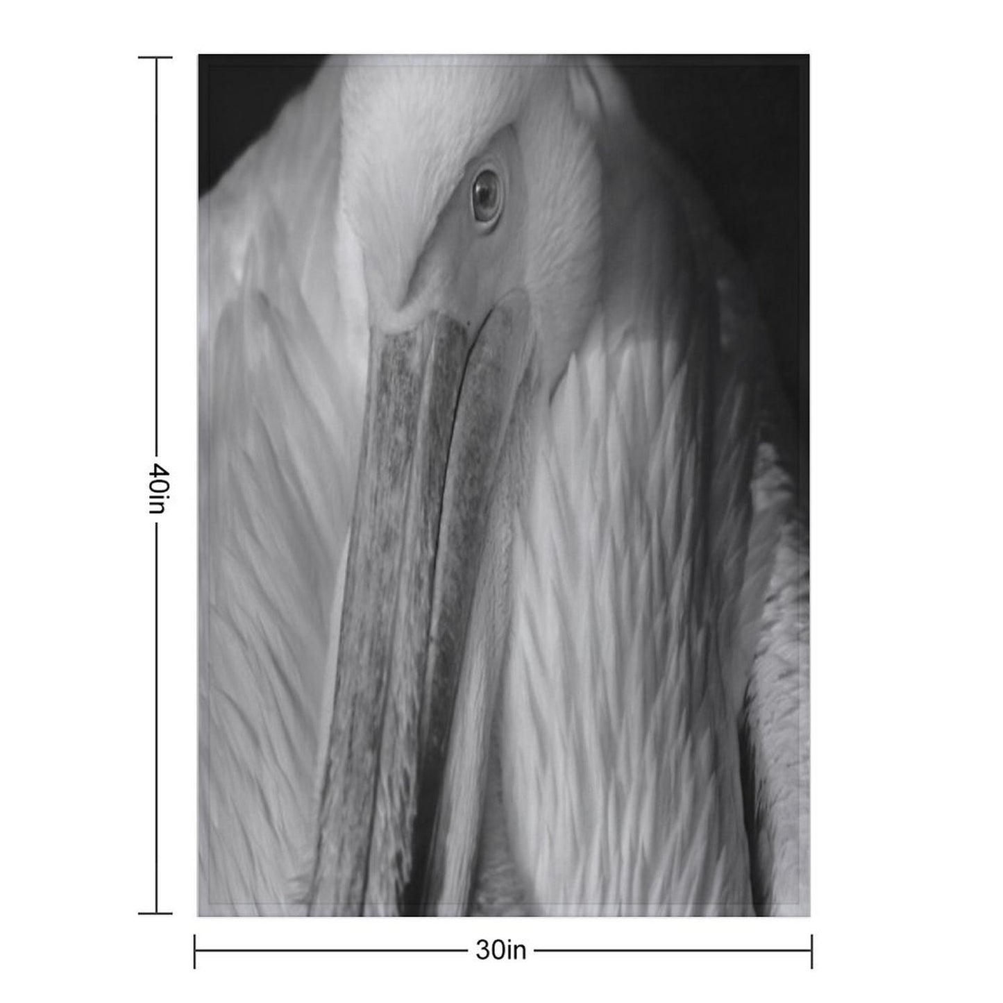 Pelican Portrait in Black And White – Wildlife Fine Art Photography Premium Throw Blanket