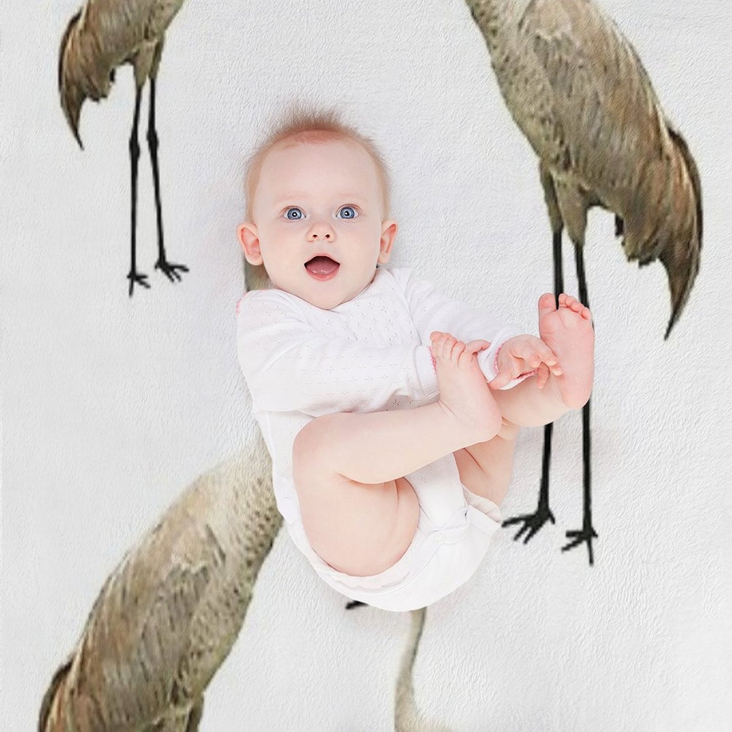 Vista View Sandhill Cranes on White Wrinkle-free Throw Blanket