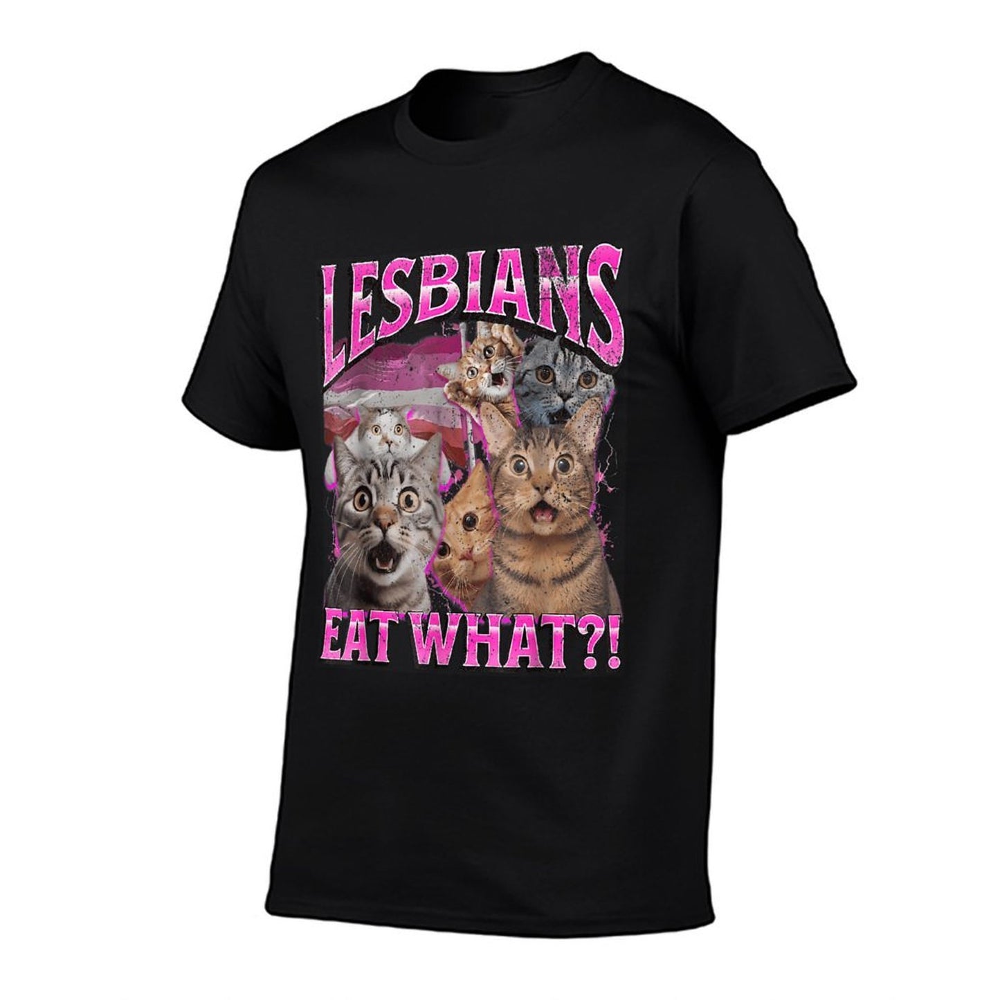 Lesbians Eat What! Funny Cat Gay Pride LGBTQ Pun  Affordable Price T-Shirt