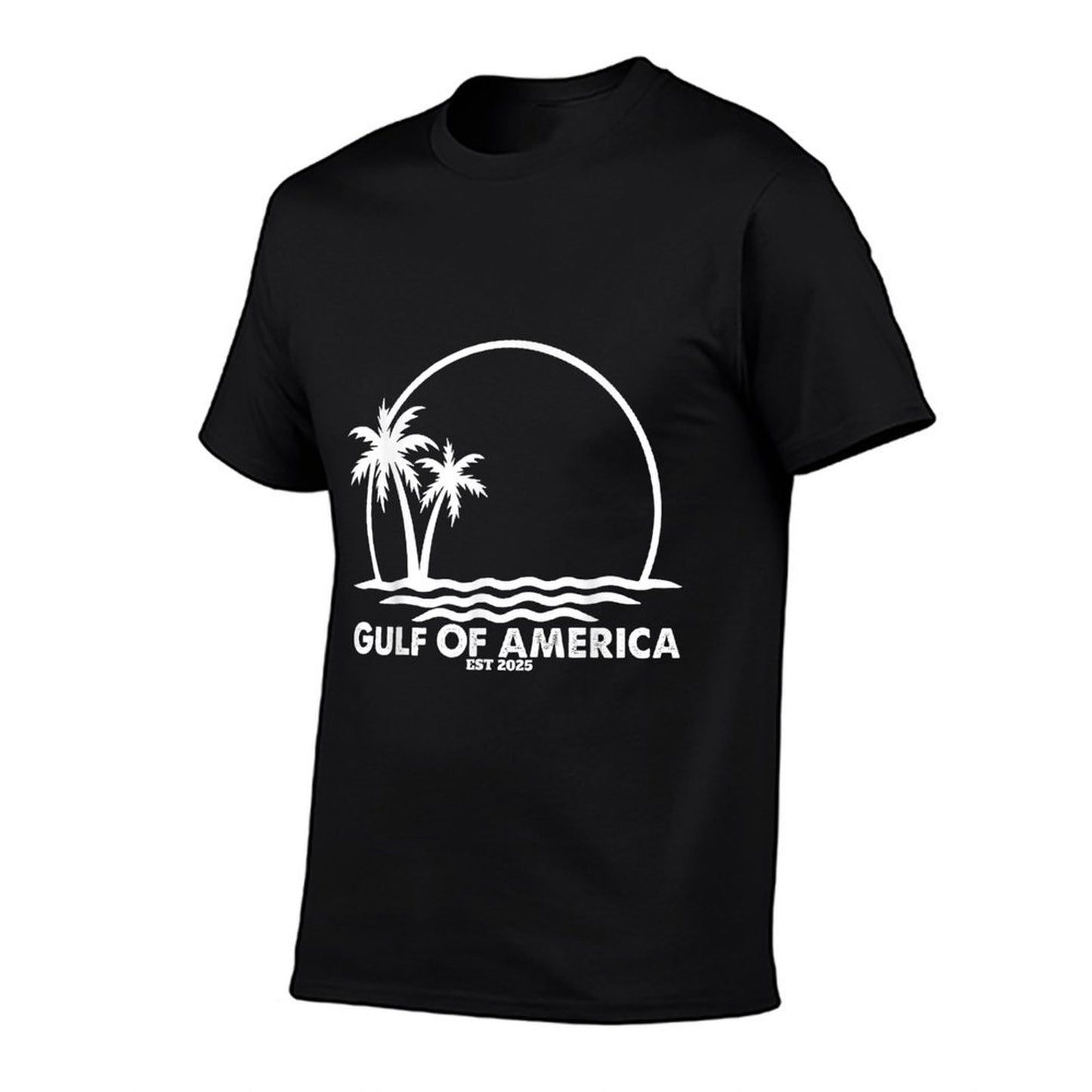 Retro Gulf Of USA America Est 2025 American Flag Classic T-Shirt